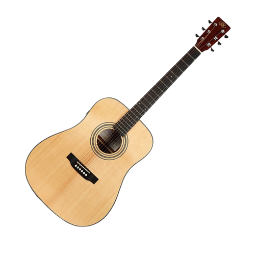 Acoustic Guitars