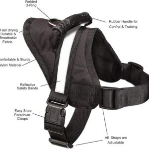 Harness and Leash - Image 3