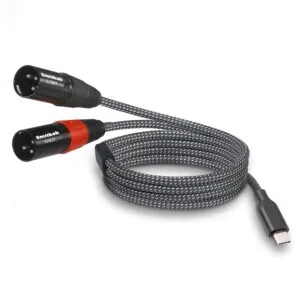 Cable, Audio, Interconnect, USB-C to Dual XLR male, 6ft, BlastKing
