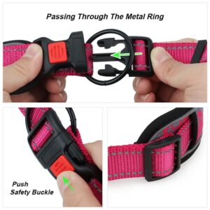 Collar, Dog, w/ Safety Lock,  MascoPets - Image 4