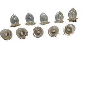 Bulb, Flashlight, 5.5v, 8A