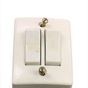 Switch, Double, Electrical