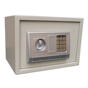 Safe, Electronic, Medium, Max Motor