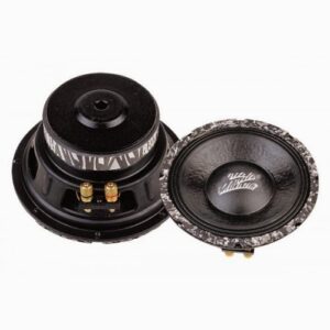 Speaker, Replacement, 12", 500-537W Max, Zebra