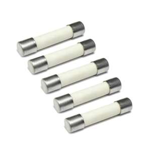 Fuse, Ceramic, 15A, 250V, Big