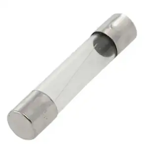Fuse, Glass, 7A, 250V, Big