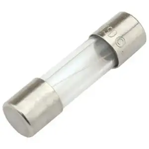 Fuse, Glass, 8A, 250V, Big