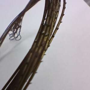 French Wire, Fine Coiled Metallic, Copper or Alloy, Bullion Wire - Image 4